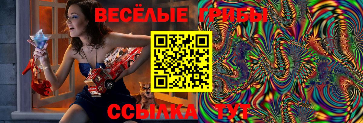 Котлас  где продают   Вход с VPN  Псилоцибиновые грибы прущие грибы 